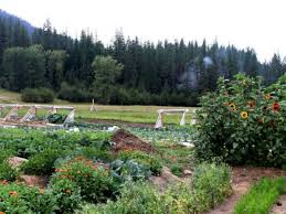 Johnny's seeds‏ @johnnyseeds 4 сент. Agribon Row Covers