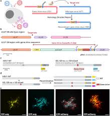 Image result for Post Office Red 1986 Marriott Bilfast