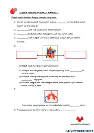 Korteks (melindungi ginjal), medula (mempunyai jaringan halus dan mengawal kepekatan air kencing), nefron (mengawal air dan bahan terlarut dalam darah), pelvis (menyalurkan air kencing ke ureter), ureter, arteri renal, vena renal. Sistem Peredaran Darah Manusia Interactive Activity