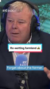 Michael Fitzmaurice Upfront Rte