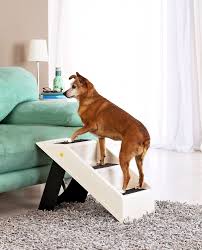 Hunde Treppe Hund Unter Treppe Treppe Hunde