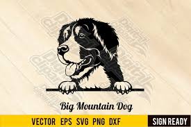 Free Free 111 Bernese Mountain Dog Svg SVG PNG EPS DXF File