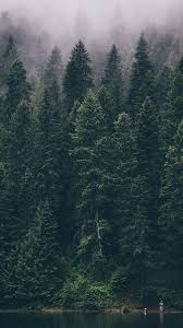 1600 x 1000 · jpeg. Pin On Pemandangan