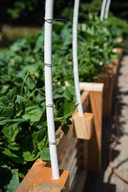 Diy garden trellis projects are a simple way to provide your vining plants with vertical growing space. Diy Vegetable Garden Trellis Using Pvc And Wire Ten Acre Baker