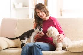 Mooshme Service Animals Significantly Reduce Anxiety