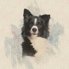 Here comes rainbow, a cute and cuddly pomsky puppy! Childrens Fabric Upholstery Fabric Cotton Rich Linen Look Fabric All Over Design Or Cushion Panel