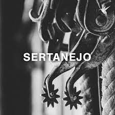 As 100 músicas sertanejas mais tocadas. Sertanejo 2019 Top 100 Musicas Sertanejas Mais Tocadas Sucessos Sertanejos Playlist By Kolibrimusic Spotify