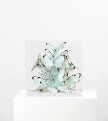 Roman Feral On Instagram Envol Perle 2019 27cm X 27cm X 27cm Preserved Natural Butterflies Crystal