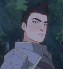 The Dragon Prince Fanfiction Fanfiction Stories