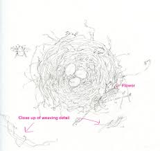 Craftsy Com Express Your Creativity Bird Drawings Drawings Watercolor Bird