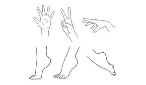 Sketch 4 circles on the edge of the box where you want the fingers to be, then add a 3d wedge and another circle for the thumb. How To Draw Anime Hands And Feet