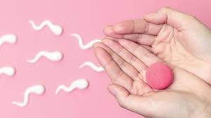 No Dominant Follicles Am On Day 14 Day Menstrual Cycle Today I Practo Consult