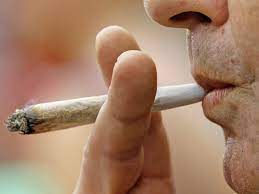 Porn during lunch breaks is OK but smoking cannabis can get you sacked,  Italy's highest court rules | The Independent | The Independent