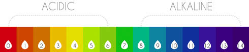 cropped ph chart universal indicator png science sediment