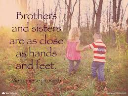 Quote Vietnamese Proverb Brothers And Sist Your Tribute Brother Quotes Grief Dad Sister Quotes