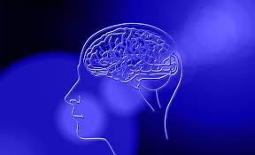 We did not find results for: Not Old Age But These 5 Brain Adversaries Cause Dementia And Memory Loss Breaking Latest News