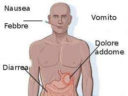 Bisogna lasciare lo stomaco per un po' a riposo. Intossicazione Alimentare Sintomi E Rimedi Naturali