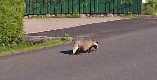 Check spelling or type a new query. Oslofjordtunnelen Grevling I Taket Deler Av Taket I Bunnen Av Oslofjordtunnelen Raste Ned I Desember 2003 Ibun S Collection