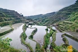 Bontoc is a municipality in landlocked mountain province, cordillera administrative region (car), philippines. Mountain Province Maligcong Rice Terraces A Traverse Lakad Pilipinas