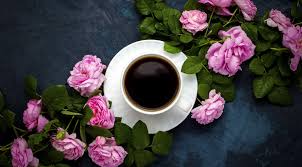 We did not find results for: Wallpaper Cup Flowers Plants Coffee 1919x1059 Wallpapermaniac 1791873 Hd Wallpapers Wallhere