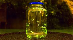 Fireflies Lightning Bug Time Lapse Youtube