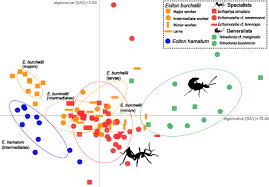 Maybe switches to bb major for the chorus. Chemical And Behavioral Integration Of Army Ant Associated Rove Beetles A Comparison Between Specialists And Generalists Springerlink