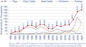 Image result for cafo
