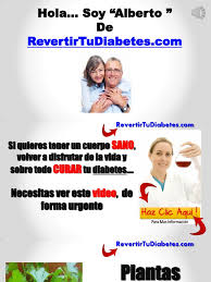 Amante de la vida sana y los. Plantas Medicinales Para La Diabetes Cura Natural Para Tu Diabetes Pdf Diabetes Mellitus Diabetes Mellitus Tipo 2