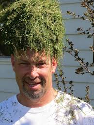 The Grass Whispering Journal or WWGWD? (What Would the Grass Whisperer Do?) 