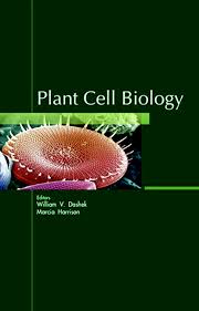 The membrane surrounding the cell, separating it from its external environment is the cell membrane.in plant cells, it is located between the cell wall and the cytoplasm. Plant Cell Biology 1st Edition William V Dashek Marcia Harriso