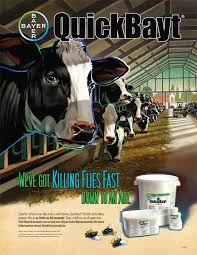 Bayer Animal Health Scot Laaser Graphic Design