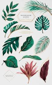 Detailed instructions and more ideas are outlined at our diorama plants craft page. Tropical Leaf Free Printable Art Series Of 9 The Happy Housie Beautiful Free Summer Printables With Customizabl Tropical Painting Plant Painting Plant Art
