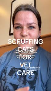 Alternatives to Scruffing Cats for Vet Visits