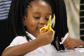 Dare County Schools, Participate Learning, dual language