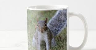 Eastern Gray Squirrel Coffee Mug Photography Gifts Diy Custom Unique Special Eastern Gray Squirrel Diy Stuffed Animals Pet Gifts
