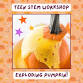 Teen STEM Workshop: Exploding Pumpkin! event image