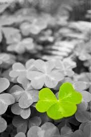 Black And White Picture With One Color Photoshop Iphone Wallpaper St Patrick S Day Tjn Color Splash Photo Color Splash Photography Splash Photography