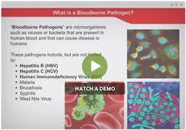 These pathogens can be transmitted from. Bloodborne Pathogen Training Bloodborne Pathogens Training