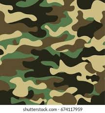 Background pancasila png download 940 493 free. Baground Loreng Nasi