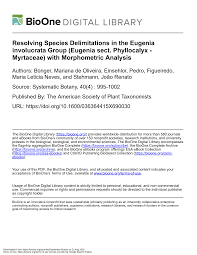 Image result for Faroa involucrata