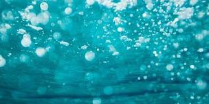 BATHED in SOUND (July 2026)