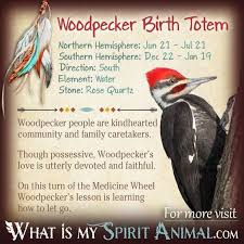 Woodpecker Birth Totem Native American Zodiac Signs