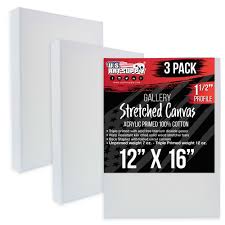 Approaching a blank canvas, 16x16 pixels at a time. 12 X 16 Gallery Depth 1 1 2 Profile Stretched Canvas 3 Pack Gesso Primed 848849089127 Ebay