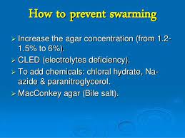 Pin By Harryygr On Microbiology Images Bile Salts Microbiology Prevention