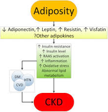 The presence of renal disease in a patient may be detected because of: Obesity And Kidney Disease Hidden Consequences Of The Epidemic Kidney International