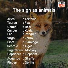 Leave behind anything that's no longer healthy, positive, or beneficial for you! What S Yours Zodiac Signs Funny Zodiac Signs Animals Zodiac Signs Sagittarius