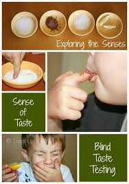Exploring The Sense Of Taste Learn Play Imagine Senses Preschool Senses Activities Senses