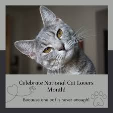 VCA Old Marple Animal Hospital