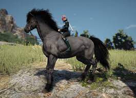 Black Desert Online Tips For Training Horse Skills Gaming And Geek Life Blog