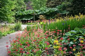 The Mayals Swansea Clyne Gardens Garden Design Swansea Plants